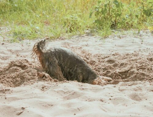 How Deep are You Digging?