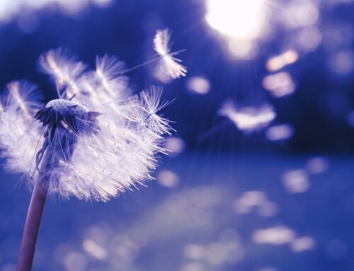 Cultivate a mindset of freedom in the face of obligation